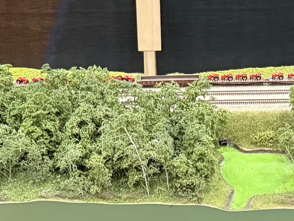 The small green pond in a clearing between two stands of woods on the Algae Pond module