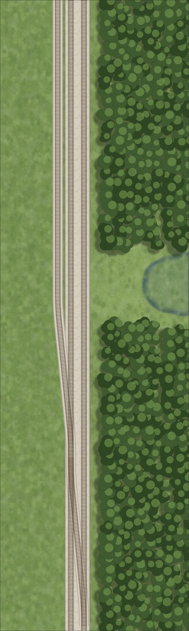 Algae Pond track plan, top view